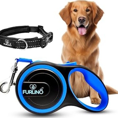 Retractable Leash