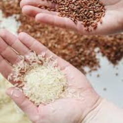 Brown Rice Organic Healthy Diet Choice