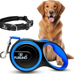 Retractable Leash